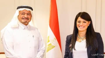 المشاط علاقات مصر والسعودية قوية وعميقة وروابط تاريخية تجمعهم