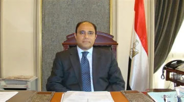 المصريين في كندا خلصوا التصويت لانتخابات مجلس النواب بشكل منظم ومتميز 3 المصريين في كندا خلصوا التصويت لانتخابات مجلس النواب بشكل منظم