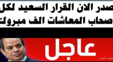 التأمينات تُصدر آخر أخبار زيادة المعاشات الآن عاجل 20% لهذه الفئـــات 9 المعاشات