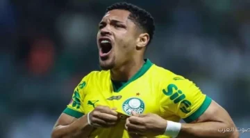 المنتخب البرازيلي في مشكلة روكي مهدد بإيقاف كبير