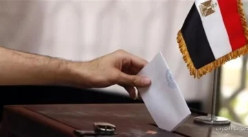 المنظمة المصرية الألمانية المرحلة الثانية من انتخابات النواب كانت مليانة