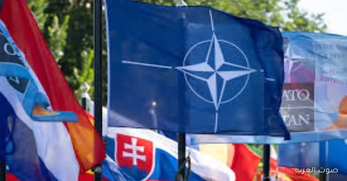 الناتو يقوي التعاون مع قطاع الشحن البحري العالمي في تدريبات دايناميك ماستر 25