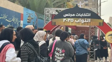 الناخبين مستمرين في التوافد على لجان المعادي والبساتين ودار السلام