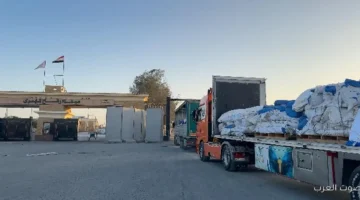 الهلال الأحمر يوزع أكتر من 220 ألف سلة غذائية و104