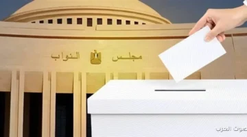 الهيئة القومية لحقوق الإنسان تخصص غرفة للصحفيين لمتابعة انتخابات النواب