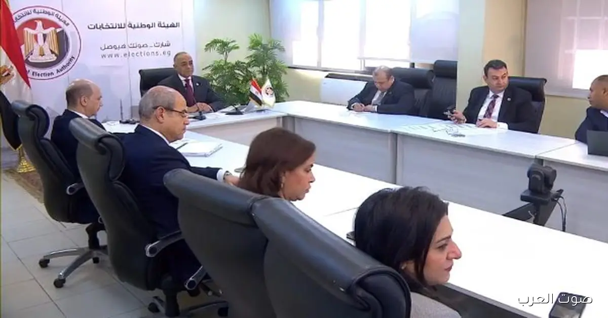 الهيئة الوطنية تتابع تصويت المصريين في المرحلة الثانية من انتخابات مجلس النواب