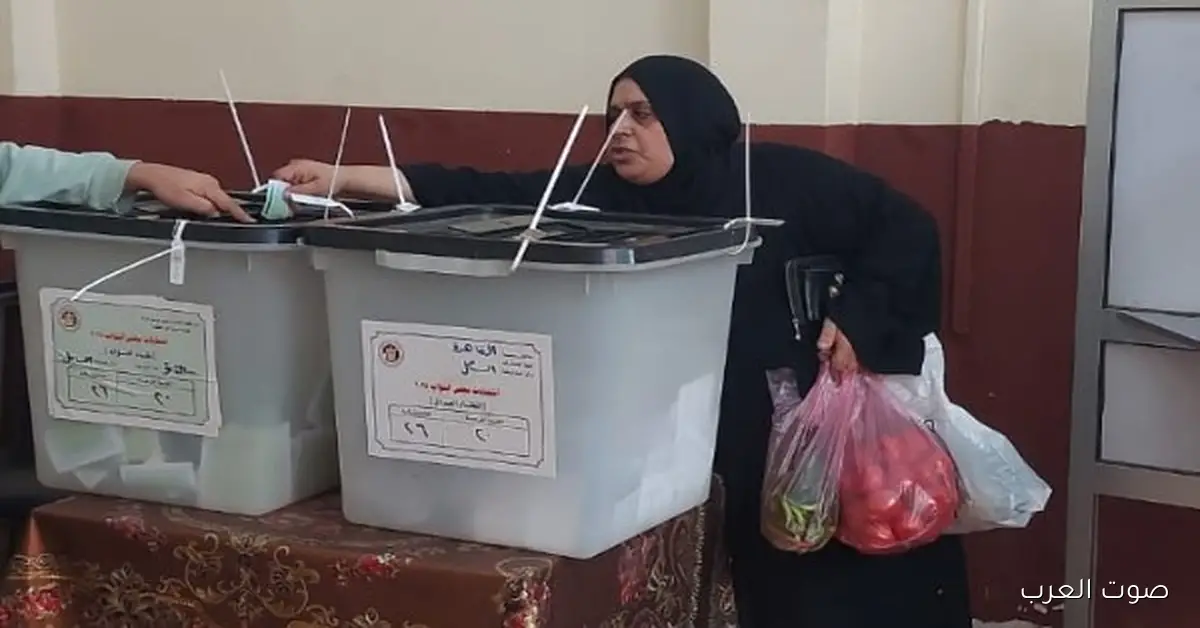 الهيئة الوطنية للانتخابات: جدول زمني جديد للانتخابات في 29 دائرة بعد إلغاء الإدارية العليا