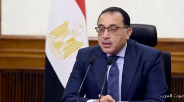 الوزراء وافقوا على إنشاء جامعة دولية للعلوم والفنون والتكنولوجيا