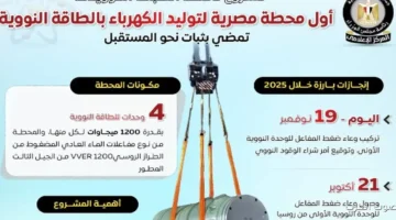 بالإنفوجراف الضبعة أول محطة نووية في مصر تمشي بخطى ثابتة