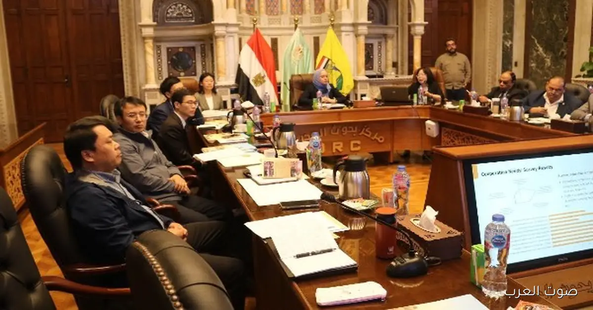 “بحوث الصحراء” يتعاون مع وفد صيني لمواجهة مشكلة التصحر