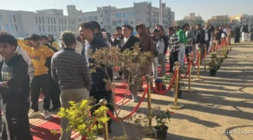 بدء التصويت في مدينة الشروق والناس متوافدين بكثافة