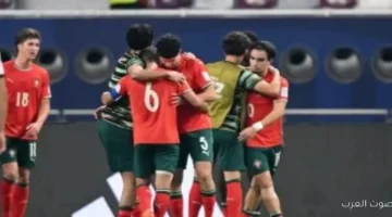 برتغال تفوز بكأس العالم للناشئين على حساب النمسا