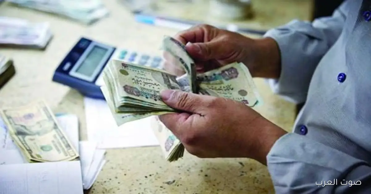 بعد ما زودوها لـ 1500 جنيه.. إزاي تستفيد من منحة العمالة غير المنتظمة 2025