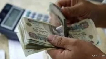 بكرة صرف معاشات ديسمبر لـ 115 مليون مستحق