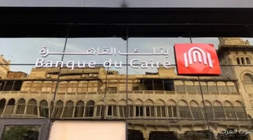 بنك القاهرة يعلن عن زيادة رأس المال ليصل إلى 305.webp