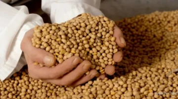 بيانات أمريكية تخلي الناس يشكوا في وعود الصين بشراء ملايين