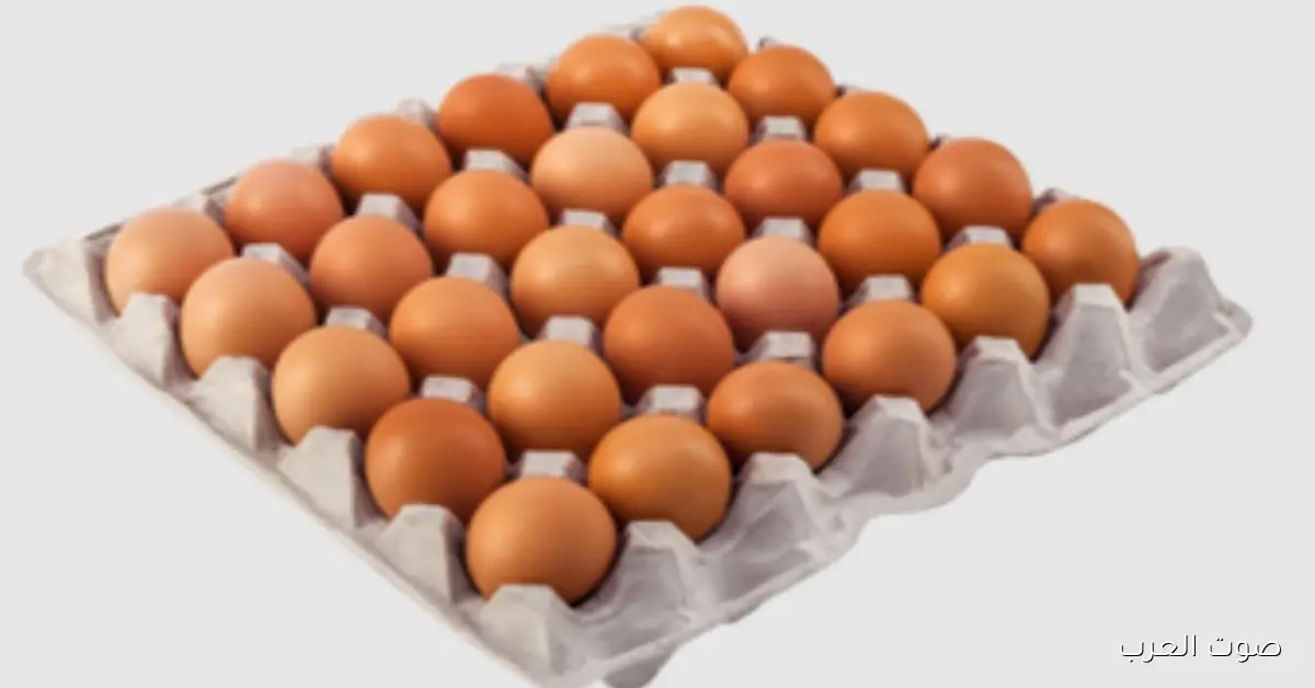 سعر كرتونة البيض اليوم الاحد 30 نوفمبر 2025 في مصر وأسعار البيع للمستهلك والجملة