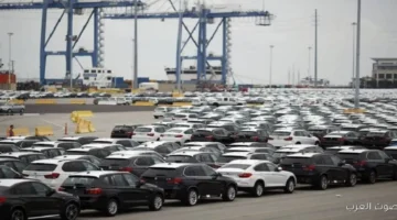 بيع 32 مجموعة سيارات وبضائع مهملة في مزاد علني بالجيزة