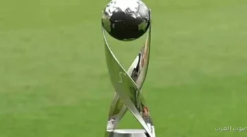 تأهل الفرق لنصف نهائي كأس العالم تحت 17 سنة في
