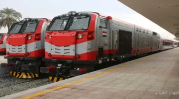تجربة جديدة لراحة الركاب: سكك حديد مصر بتقدّم طرق مختلفة لحجز تذاكر القطارات ودفعها.. اتعرف عليها 24 تجربة جديدة لراحة الركاب سكك حديد مصر بتقدّم طرق مختلفة