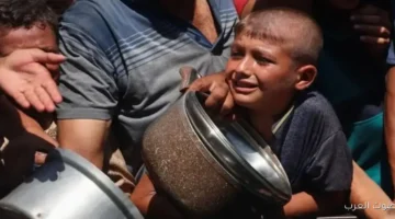 تحذير من الأمم المتحدة عن خطر أزمة جوع عالمية بسبب