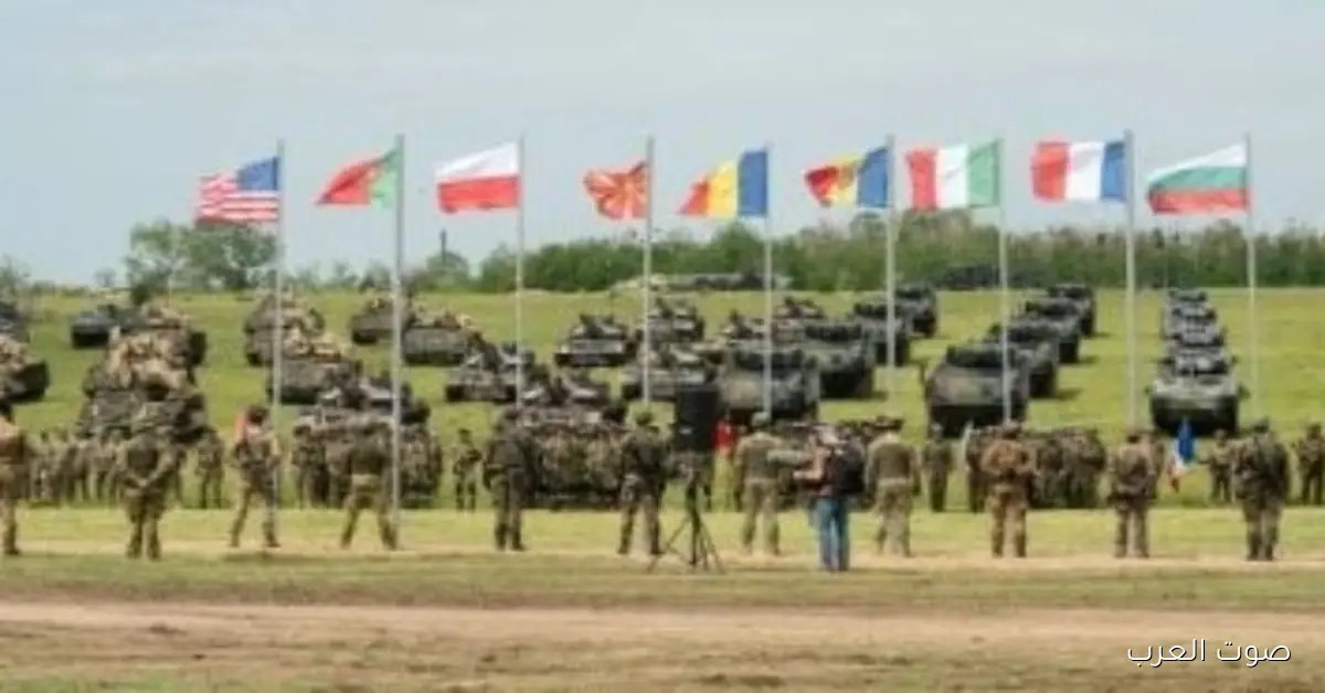 تدريبات ضربة الصقر 2025 بدأت في إيطاليا بمشاركة طائرات من 5 دول في الناتو