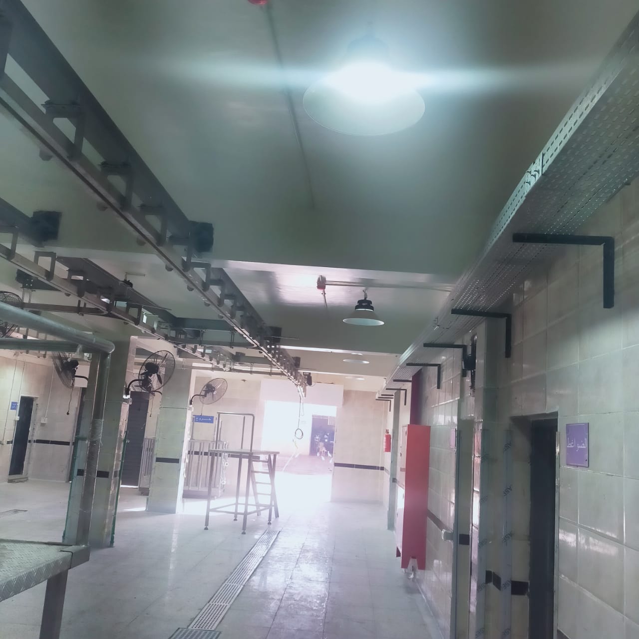 تشغيل تجريبي لمجازر الحبيل والهو في الأقصر وقنا بتكلفة 60