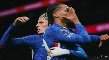 تشيلسي يكتسح وولفرهامبتون في الدوري الإنجليزي فيديو