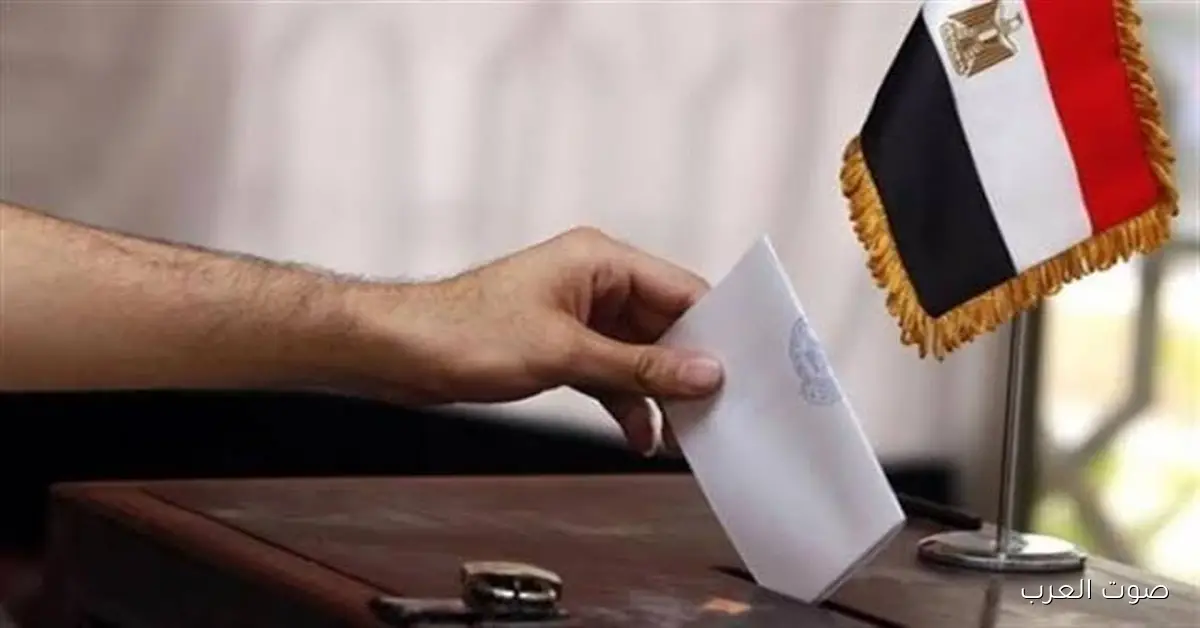 تصويت المصريين في فرنسا بدأ للمرحلة الثانية من انتخابات مجلس النواب