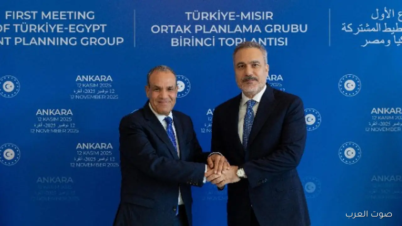 تطوير العلاقات ودعم فلسطين بيان مشترك بين وزير خارجية مصر