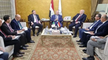تعزيز التعاون بين مصر والجزائر في الصناعة والنقل