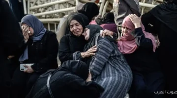 تقرير أممي 83 ألف امرأة وفتاة قُتلوا عمدًا في العالم