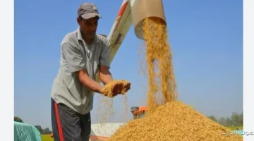 تكافل وكرامة 1 1