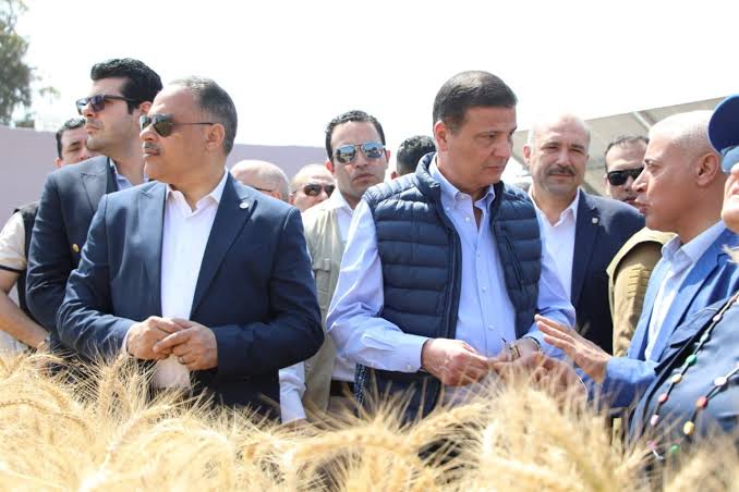 توزيع تقاوى مدعمة الزراعة تكشف عن خطة دعم الفلاحين في