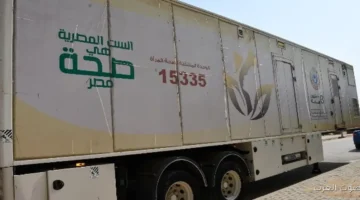 جامعة حلوان تواصل فعاليات حملة دعم المرأة في إطار مبادرة