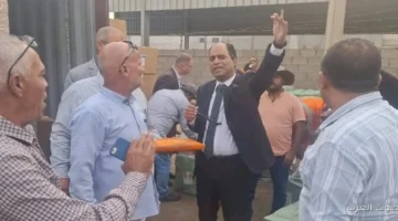 جمارك العين السخنة تضبط محاولة تهريب ألعاب نارية وصواريخ وأجهزة