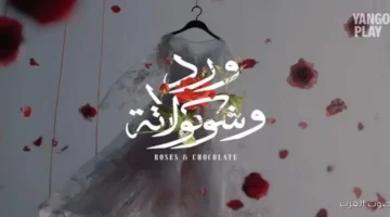 جمال العدل هنعمل أجزاء كتير من ورد وشوكولاتة بقصص متنوعة