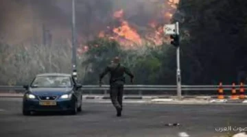 حرائق في حيفا والاطفاء الإسرائيلي بيحاول يسيطر عليها