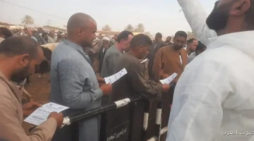 حملة بيطرية لدعم صغار المربين في البحيرة وتأمين الثروة الحيوانية