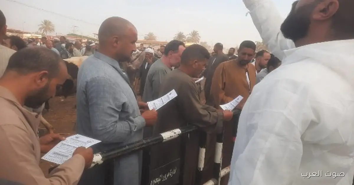 حملة بيطرية لدعم صغار المربين في البحيرة وتأمين الثروة الحيوانية