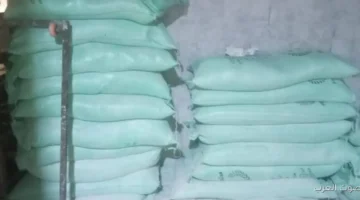 حملة تموينية كبيرة في قليوب تضبط 12 مخالفة في المخابز