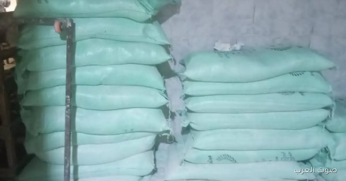 حملة تموينية كبيرة في قليوب تضبط 12 مخالفة في المخابز