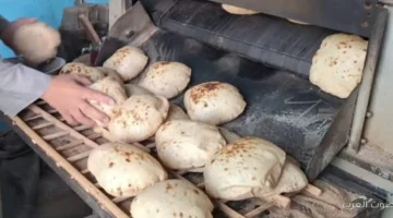 حملة تموينية مفاجئة في القناطر تضبط 20 مخالفة في المخابز