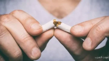 حملة توعية من شعبة المصدرين عن مخاطر التدخين للشباب في