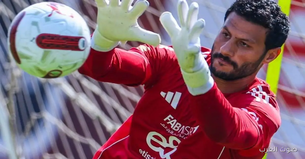 خالد الغندور: الشناوي هيغيب أسبوعين عن الأهلي بعد إصابته مع شبيبة القبائل 2 خالد الغندور: الشناوي هيغيب أسبوعين عن الأهلي بعد إصابته مع شبيبة القبائل