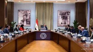 رئيس الوزراء يتابع خطط تطوير وزراعة الأشجار في القاهرة الكبرى