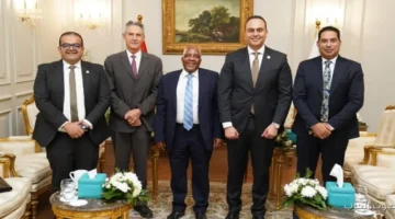 رئيس هيئة الرعاية الصحية يقابل وزير صحة جنوب أفريقيا علشان