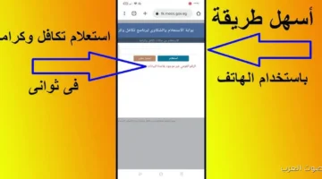 رابط الاستعلام عن فيزا تكافل وكرامة 2025 بالرقم القومي