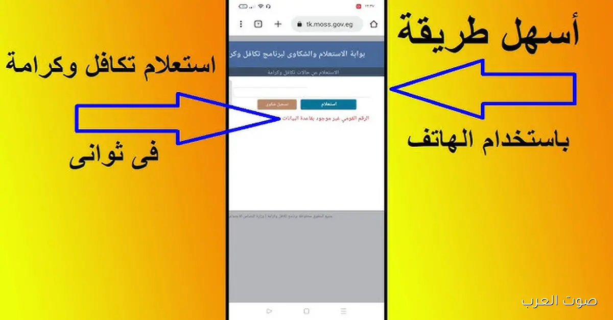 مفتوح الآن tk.moss.gov.eg .. رابط الاستعلام عن فيزا تكافل وكرامة 2025 بالرقم القومي