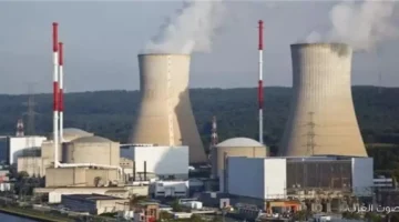 روس آتوم 222 منشأة جديدة و1700 عامل مصري شغالين في